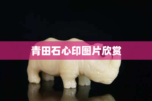 青田石心印圖片欣賞