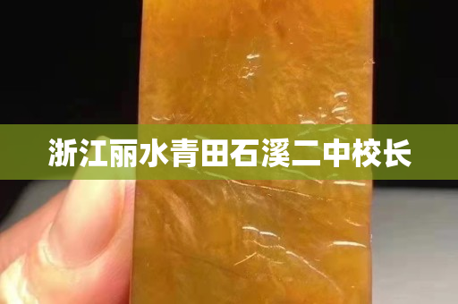 浙江麗水青田石溪二中校長