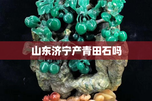 山東濟寧產青田石嗎