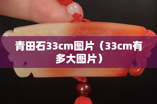 青田石33cm圖片（33cm有多大圖片）