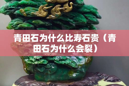 青田石為什么比壽石貴（青田石為什么會裂）