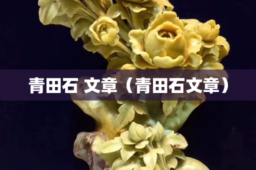 青田石 文章（青田石文章）