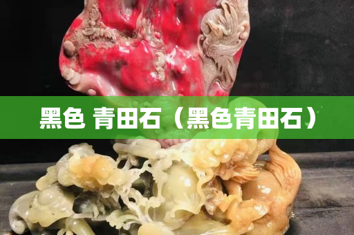 黑色 青田石（黑色青田石）