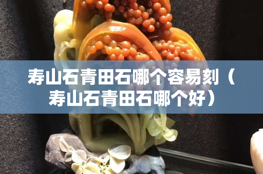壽山石青田石哪個容易刻（壽山石青田石哪個好）