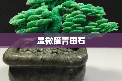 顯微鏡青田石