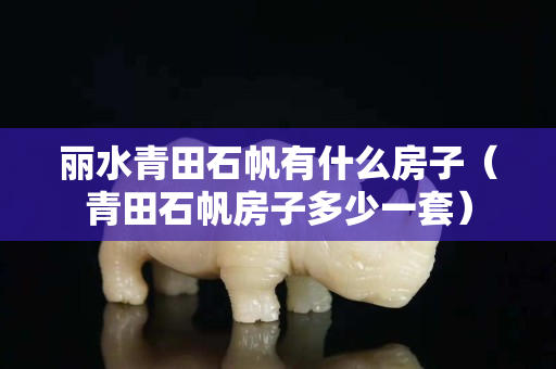 麗水青田石帆有什么房子（青田石帆房子多少一套）