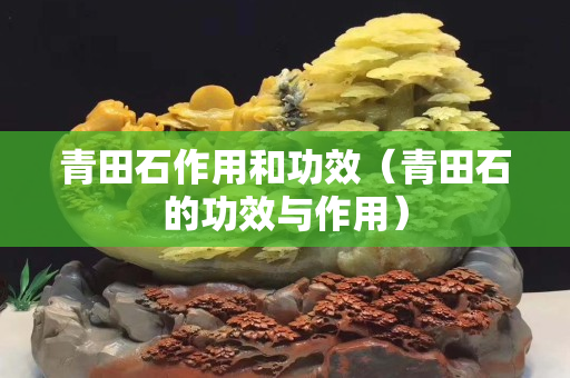 青田石作用和功效（青田石的功效與作用）