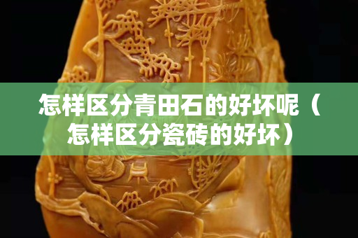 怎樣區(qū)分青田石的好壞呢（怎樣區(qū)分瓷磚的好壞）