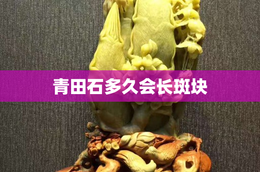 青田石多久會長斑塊