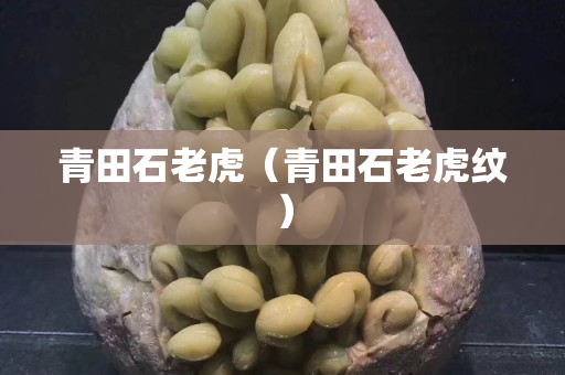 青田石老虎（青田石老虎紋）