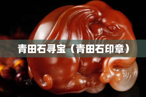 青田石尋寶（青田石印章）