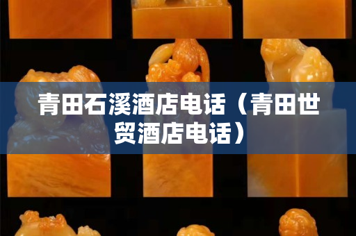 青田石溪酒店電話（青田世貿酒店電話）
