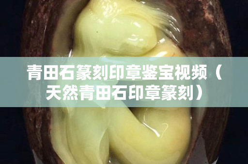 青田石篆刻印章鑒寶視頻（天然青田石印章篆刻）