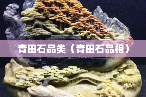 青田石品類（青田石品相）