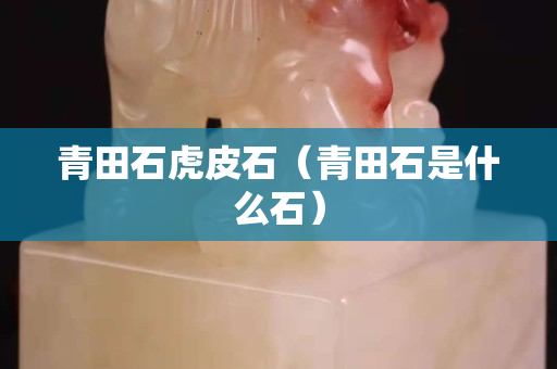 青田石虎皮石（青田石是什么石）