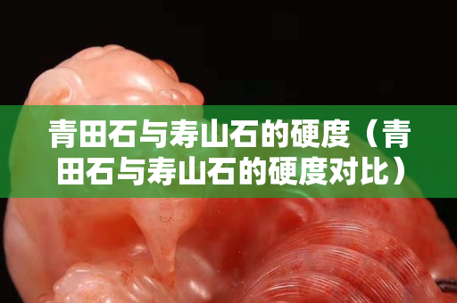 青田石與壽山石的硬度（青田石與壽山石的硬度對比）