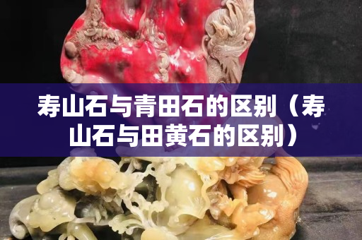 壽山石與青田石的區別（壽山石與田黃石的區別）