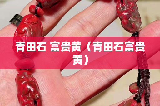 青田石 富貴黃（青田石富貴黃）