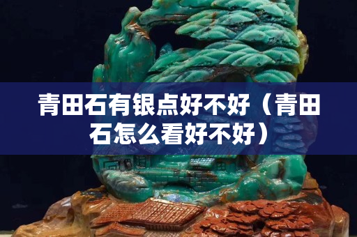 青田石有銀點好不好（青田石怎么看好不好）