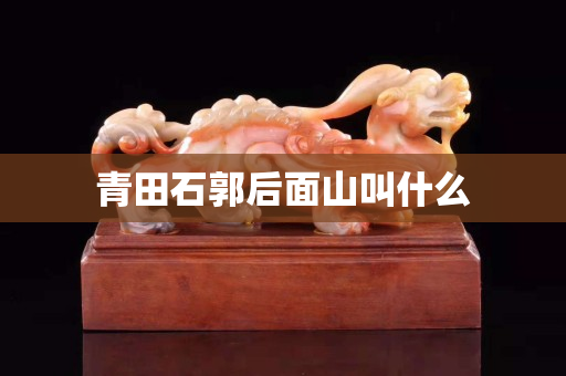 青田石郭后面山叫什么