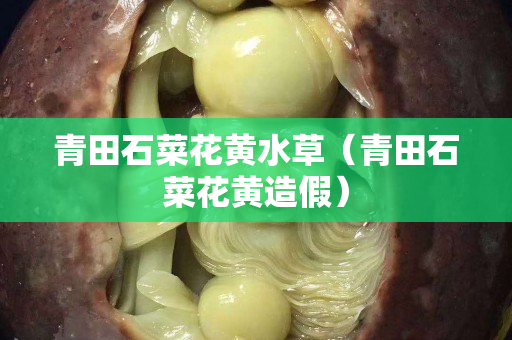 青田石菜花黃水草（青田石菜花黃造假）