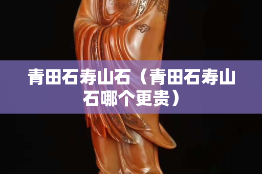 青田石壽山石（青田石壽山石哪個更貴）