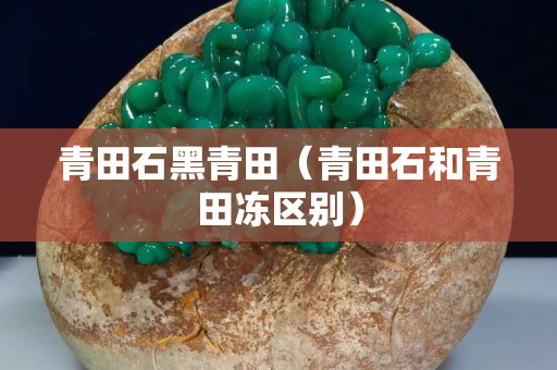 青田石黑青田（青田石和青田凍區別）