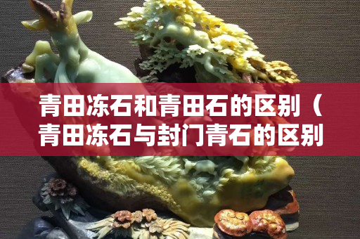 青田凍石和青田石的區(qū)別（青田凍石與封門青石的區(qū)別）