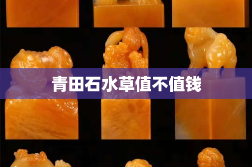 青田石水草值不值錢