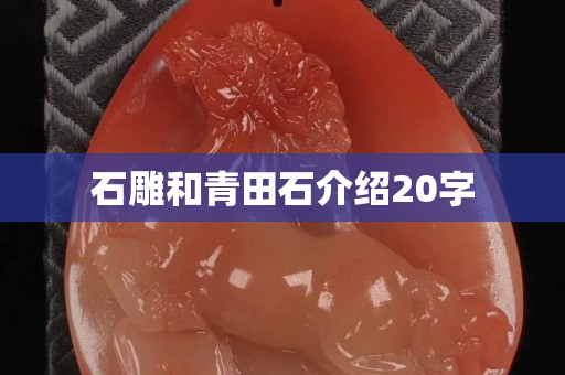 石雕和青田石介紹20字