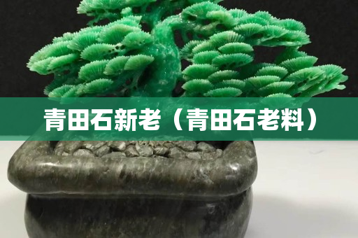 青田石新老（青田石老料）