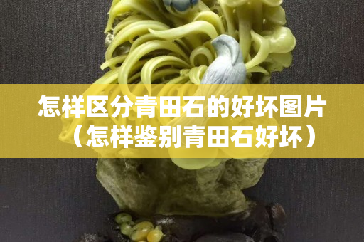 怎樣區分青田石的好壞圖片（怎樣鑒別青田石好壞）