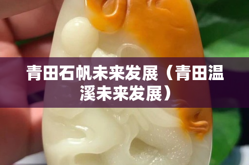青田石帆未來發展（青田溫溪未來發展）
