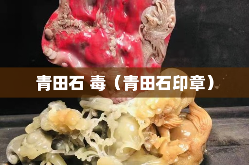 青田石 毒（青田石印章）