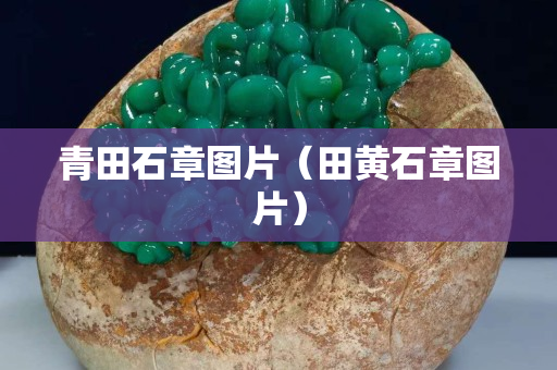 青田石章圖片（田黃石章圖片）