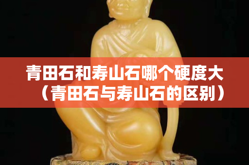 青田石和壽山石哪個硬度大（青田石與壽山石的區別）