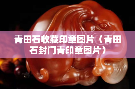 青田石收藏印章圖片（青田石封門青印章圖片）