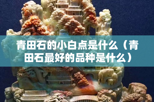 青田石的小白點是什么（青田石最好的品種是什么）
