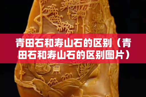青田石和壽山石的區別（青田石和壽山石的區別圖片）