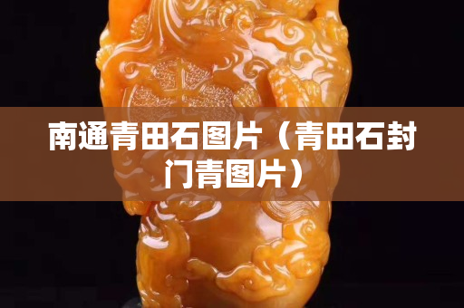 南通青田石圖片（青田石封門(mén)青圖片）