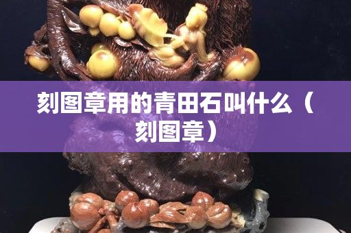 刻圖章用的青田石叫什么（刻圖章）
