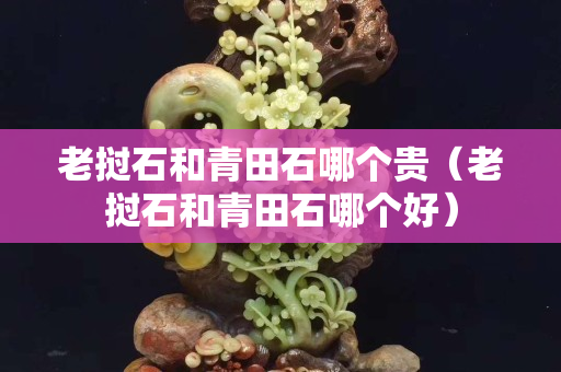 老撾石和青田石哪個貴（老撾石和青田石哪個好）