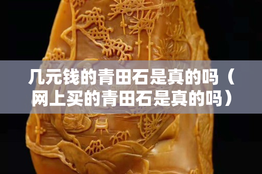 幾元錢的青田石是真的嗎（網上買的青田石是真的嗎）