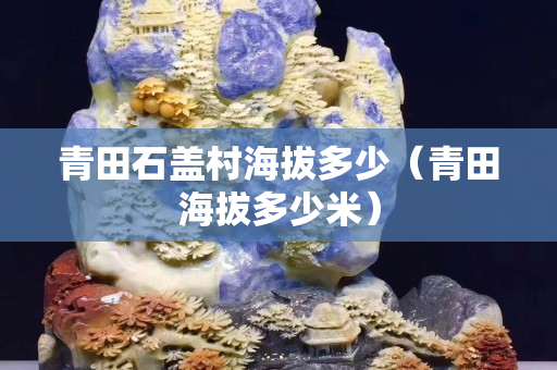青田石蓋村海拔多少（青田海拔多少米）