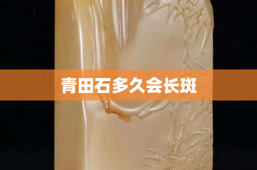 青田石多久會長斑