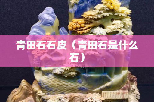 青田石石皮（青田石是什么石）