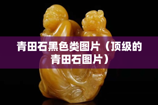 青田石黑色類圖片（頂級的青田石圖片）