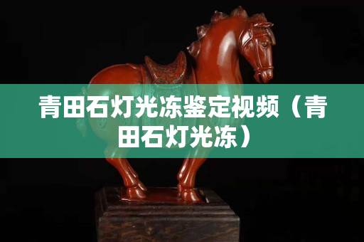 青田石燈光凍鑒定視頻（青田石燈光凍）