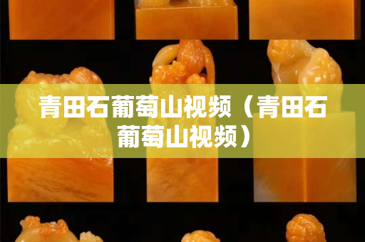 青田石葡萄山視頻（青田石葡萄山視頻）