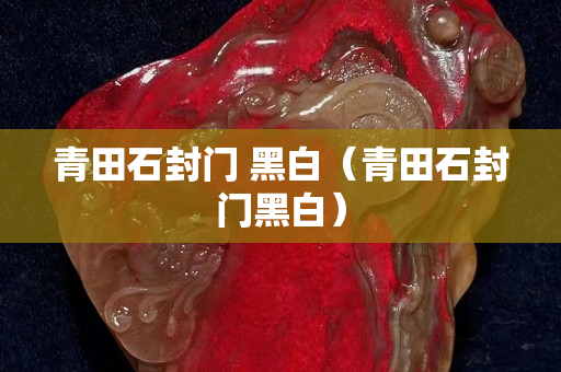 青田石封門 黑白（青田石封門黑白）